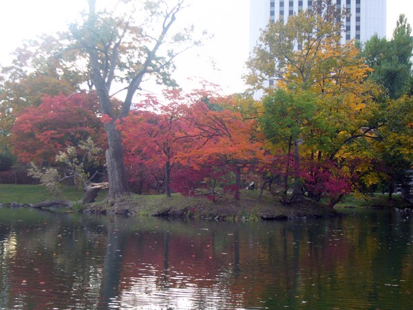 中島公園の池.jpg